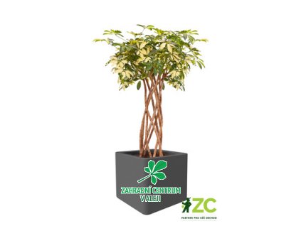 8377adb6 3599 4513 9819 a0453e41bc06