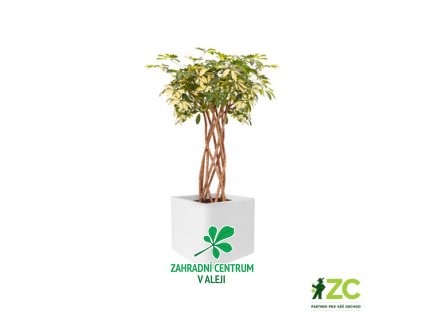 e75d5388 ac87 472e 9cb2 7905f6b54741