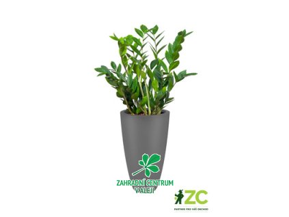 ee84ea93 5db3 4f6c 9c17 30c97d82aaab