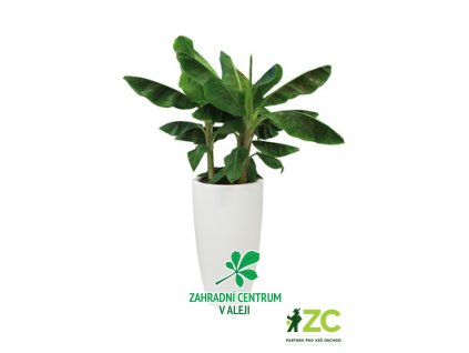 97ef0718 d925 4f72 aa85 c196a1ed41a0