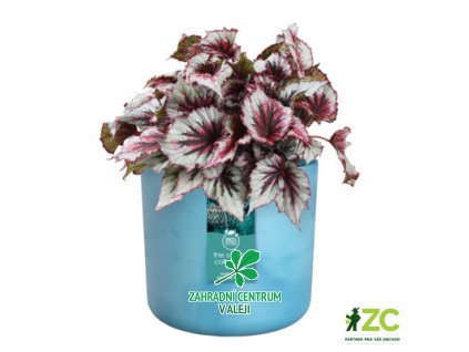 4804c099 701a 45f8 8f46 70259b25a0ea