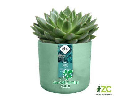 5055de90 5517 4d15 824f 4df2e5309a15