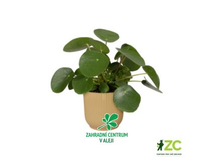 b752db56 d368 4c45 abbe d64eecdd677e