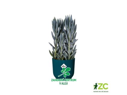 97b523a5 b60c 468c 8b26 9f264ffbaf8e