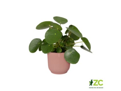 Obal Vibes Fold - delicate pink 14 cm