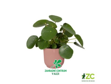 f83d3a24 0579 400c abd5 7a2f61b0bc6b