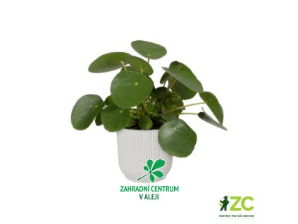 7f05f3f6 94eb 4c5e a5fe 0359b47736d1