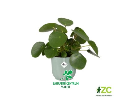 203269ae 5610 4311 aef8 0a7202018a5a