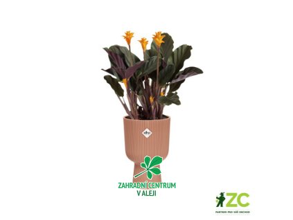 cb2acf45 550c 4e80 9e0f 1b6be504b69d