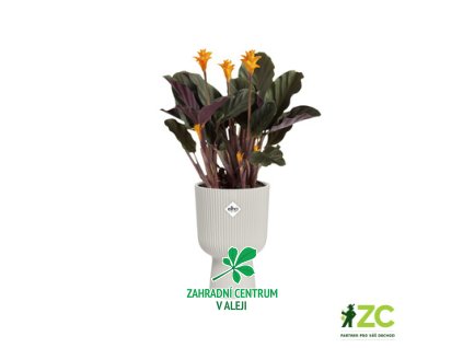 3eb86fc7 9e3f 4721 9a99 67e69ea9b828