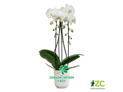 28565871 37ae 4585 a28d fd64af7880ff