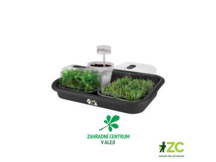 ec6712d8 c29b 4d20 9149 bde3ef8b1546