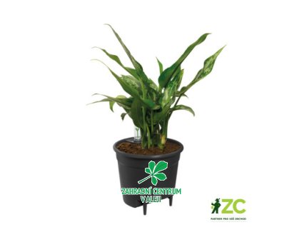 9a1e3972 7b12 4c5e 8d96 22321eb79529