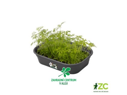 ac92e8fd 89c7 4e95 a3d7 03f3eeb0f460