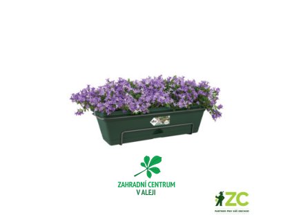 8fe53df2 d80d 475a a6f6 d7b62c1f9afa