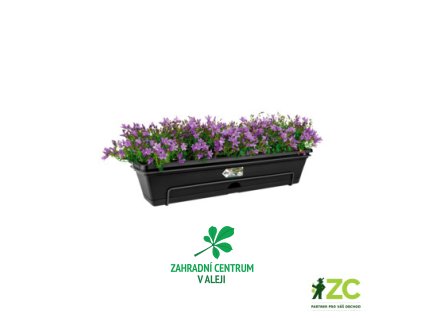 9b92ccfe 68b9 4805 8237 05ab217a5c27