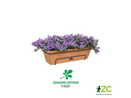 882e1585 024d 415d a33c 9536835e25a8