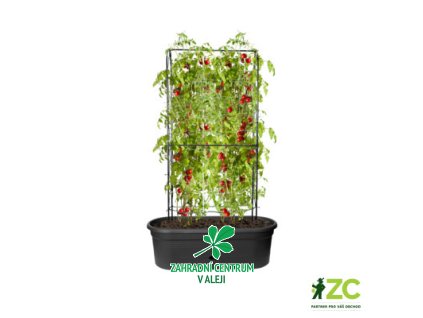 c27de31e b07a 4ed6 ac6c 1f8384b9e286