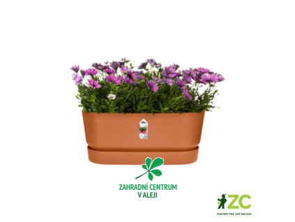 421f9b17 615e 47ef a94f 2f625c313a45