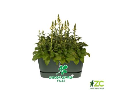 d5c25b9d f92f 435b abf7 c839e62c68d6