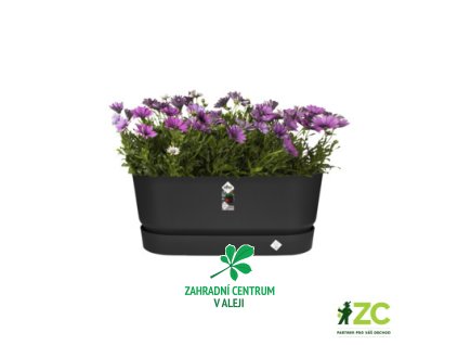 f562e1cd 3887 4d5d b6cb 8abdda2d1be2