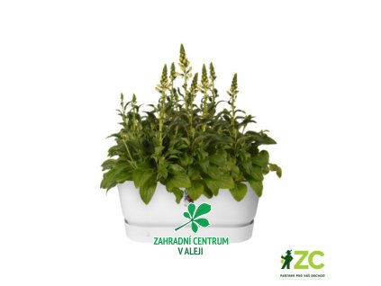 ac08b2d4 2e95 4987 8ef2 c803501b22f0