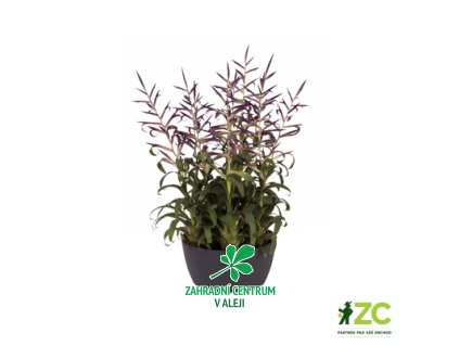 8d7c0338 0f21 4b92 aeb1 f532da461371