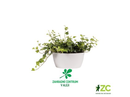 4fdf43c6 fa12 42f6 9a1d e706029fdddc