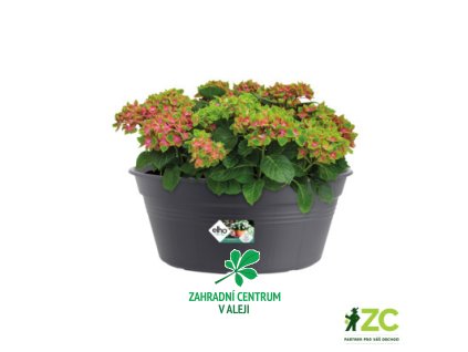 d7b3f2ad 0600 45d7 a01c 8aafb8e03447