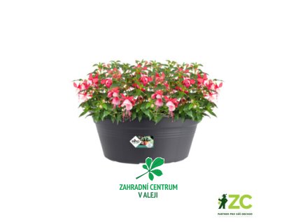 8dcfbf22 1677 4a2f 9b01 5dfe9b2a2019