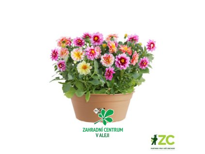 a2e7d050 39c3 4bc6 88cd c32583679071