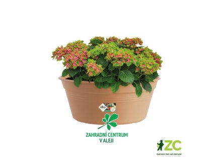 d238cf4c 9866 444b a002 501b21bddfcb