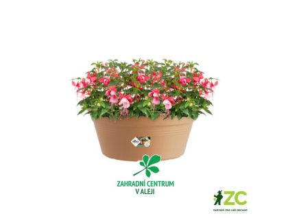 0a021aa2 0fc9 44af 8553 bd448653b3c5