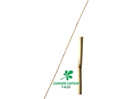 c3628377 bf84 40f9 b2e2 ea049b19dca6