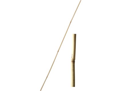 Tyč bambusová 90 cm tl. 10-12 mm