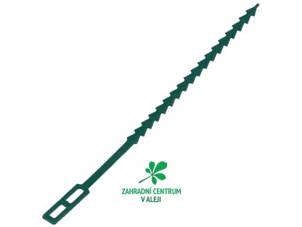 297804c7 d0a2 4d7c 9919 7fa981d61bc9