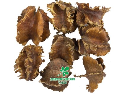 8449e4c6 1458 444d 8c5f 30502a5f88d6