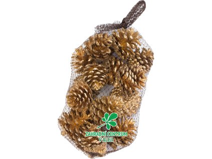 e9f624ea a76b 49d9 8b8f 66f8765726ff