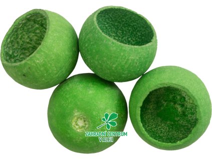 8f98aea6 7d2b 4a26 bc5c b239d7a460ec