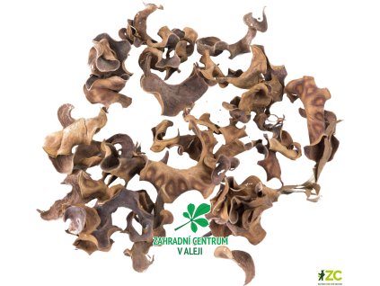 decf538a e7be 4af7 b67d 5ad7be96427b