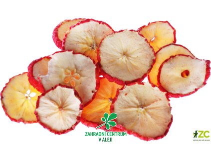 c31c7b37 b6e3 4596 a5d1 fde8a93e9c8c