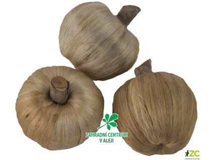 81f890de 9a15 4424 bac0 3bdd2884dc08