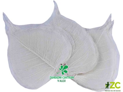 3b4fb98c d6be 48d8 a43d 88b39ebfb11d