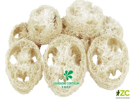 e4acc1f2 6c83 42f0 bfd0 dab44700384b