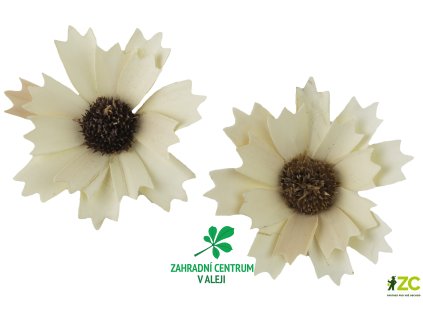 bd86a3ee c5e8 4038 80f5 c773d1a39154