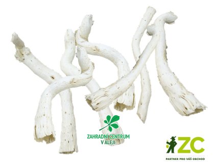 0981cc86 dd02 456c 9fc6 7940b0fd6dc2