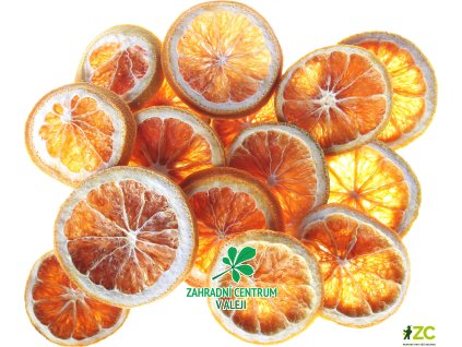 8baae659 3fdb 4f0f ae29 9561c495663d