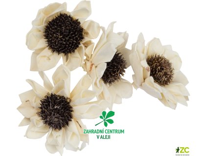 650940fe 8527 481a 83b0 e29927d8c6f7