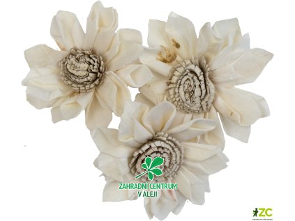 ac940f6f 9676 4622 91d9 8047ab1f87b4