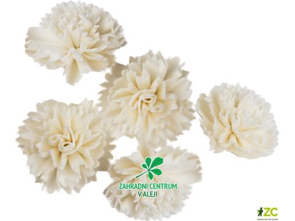 8bb18079 b97c 4cc8 ad37 1bd0ad4ebc9e